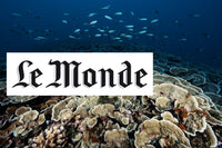 Le Monde